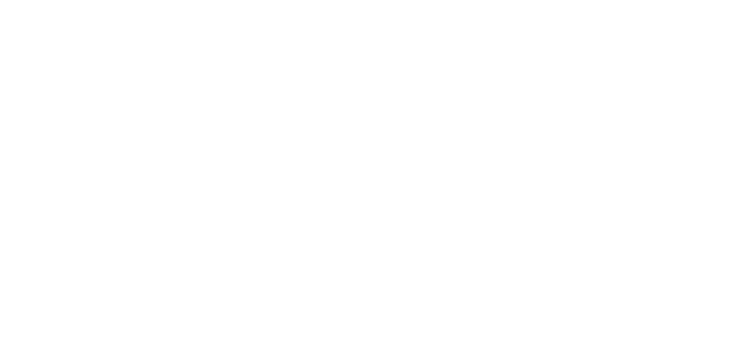 Wythe Youth and Family Services logo